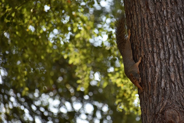 顶级联赛中 顶级联赛中