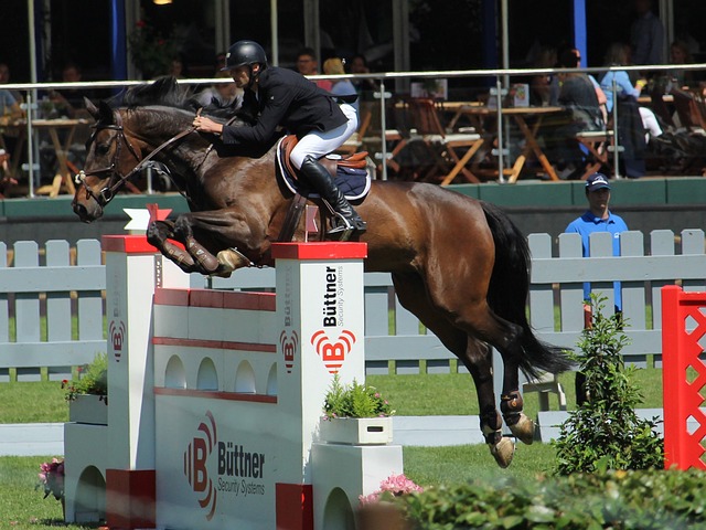 客出行受困 客出行受困