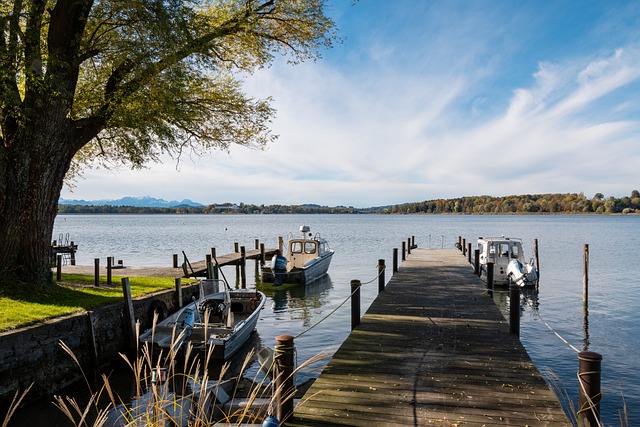 根据数据分 根据数据分