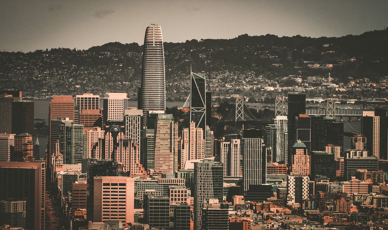 哈白组合 哈白组合