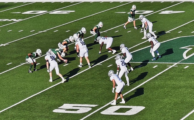 ayx官网登录入口