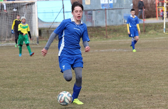 ayx官网登录入口