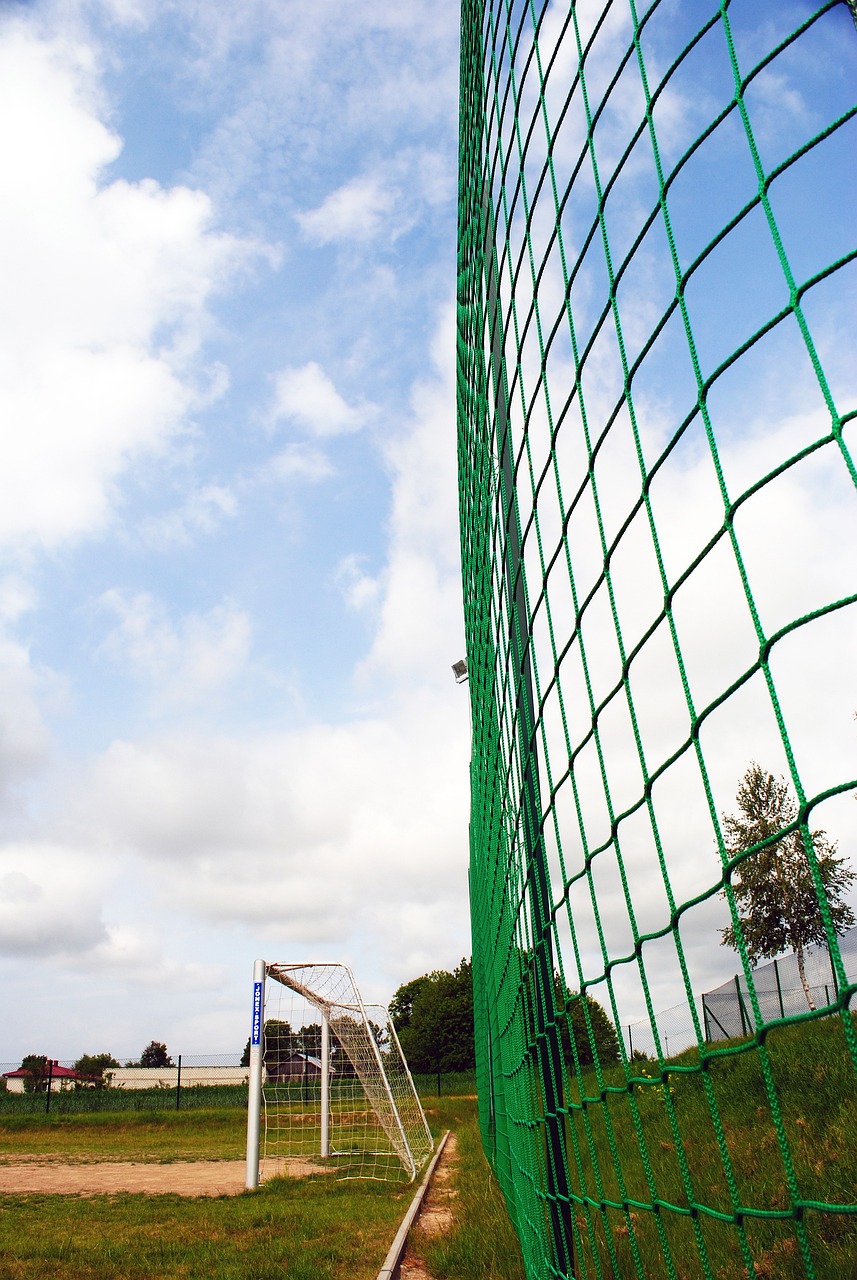 战的伙伴 战的伙伴